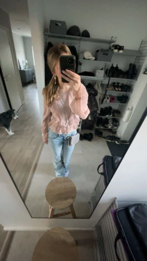 Rosa blus - Fin rosa blus,snöret till  knappen man stänger den i ryggen är dock sönder men det går att sy fast eller använda ändå då det inte är ett större besvär