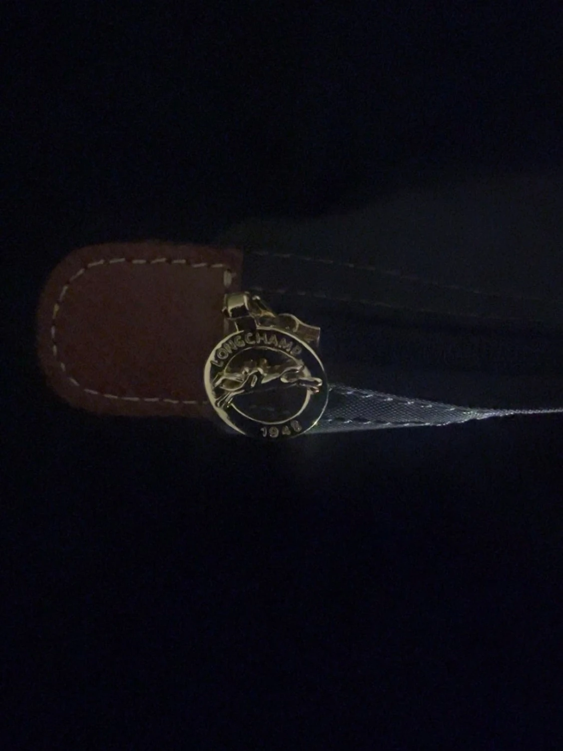 Longchamp le pliage  - 3