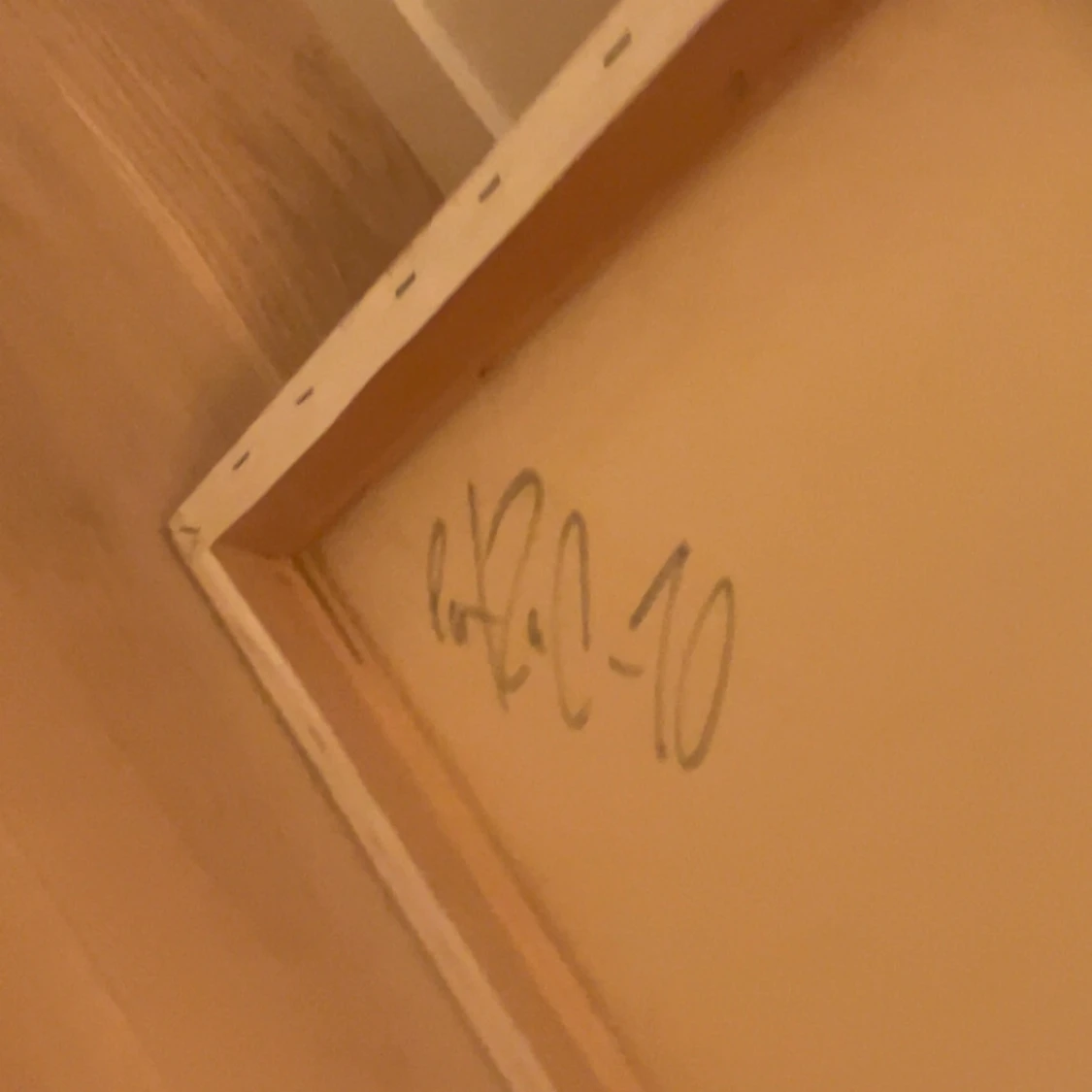 Skit cool och unik PATZAC tavla🩷🎆 - 2