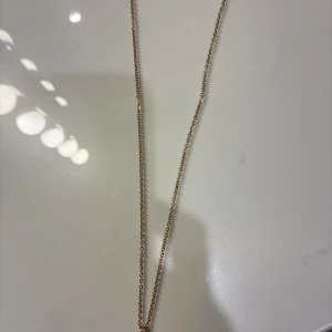 Guldfärgat halsband med tassberlock - Snyggt guldfärgat halsband med en söt tassformad berlock. Kedjan är tunn och har justerbar längd med karbinlås. Perfekt accessoar för dig som älskar djur och vill ha något unikt och personligt runt halsen. Om ni har några frågor kontakta mig.💕