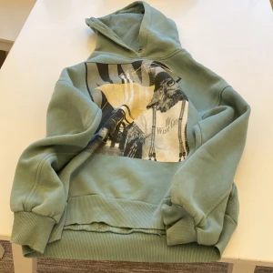 Grön hoodie med uggletryck från Lindex - Cool grön hoodie från Lindex med ett stort tryck på framsidan som visar en uggla med texten 'Mr Wise Guy'. Tröjan har huva, ribbade muddar och är tillverkad i mjuk bomullsmix. Passar dig som gillar unika prints och chill stil.