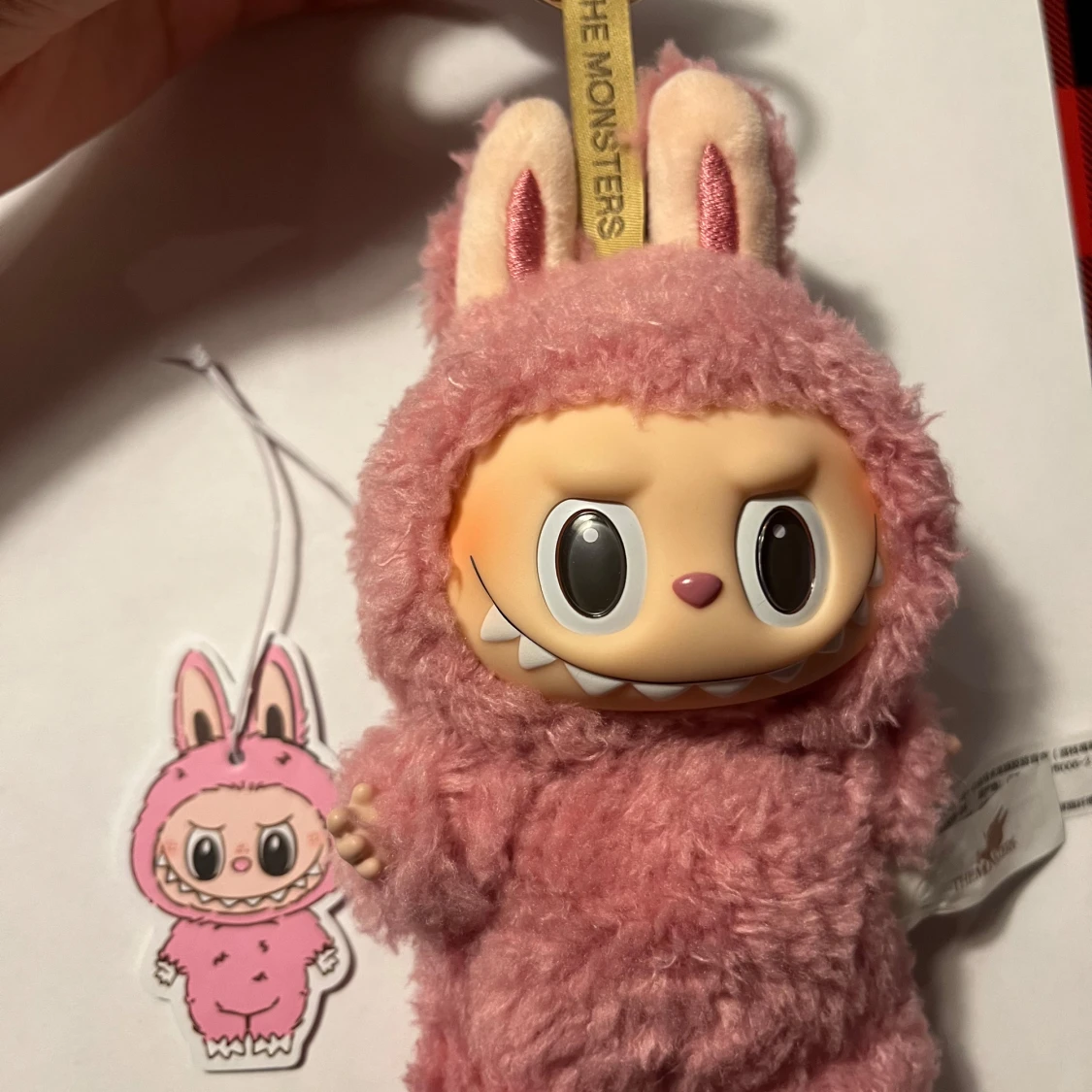 Pop Mart Labubu Lychee fint skick  - 4