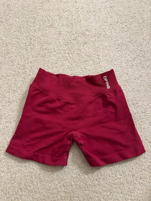 Dfyne shorts - Dfyne shorts i färgen ”Berry Red” köpta på Aliexpress så inte äkta men sitter som dom riktiga💕