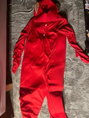 Röd teletubbies dräkt - Säljer en cool röd teletubbies dräkt som är köpt från partykungen för 600kr. den är oanvänd