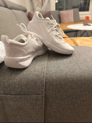 Vita Nike sneakers med mesh och snörning 36.5 - Fräscha vita Nike sneakers med snygg meshpanel och ventilerande detaljer. Skorna har klassisk snörning, rund tå och platt sula. Swoosh-loggan syns på sidan och hälen, och materialet är en mix av syntet och mesh för skön komfort. Perfekta för dig som gillar stilrena och sportiga sneakers.