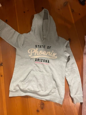 Ljusblå hoddie - En väldigt fin hoddie. Ser väldigt fräsch och ny ut och har inga tydliga tecken på användning utanpå. 