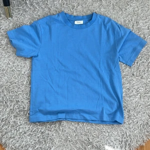 Blå basic t-shirt  - Enkel blå t-shirt från Gina i mjuk bomull. Modellen är rak med normal passform och har klassisk rund halsringning och korta ärmar. Perfekt till jeans eller shorts för en chill look.