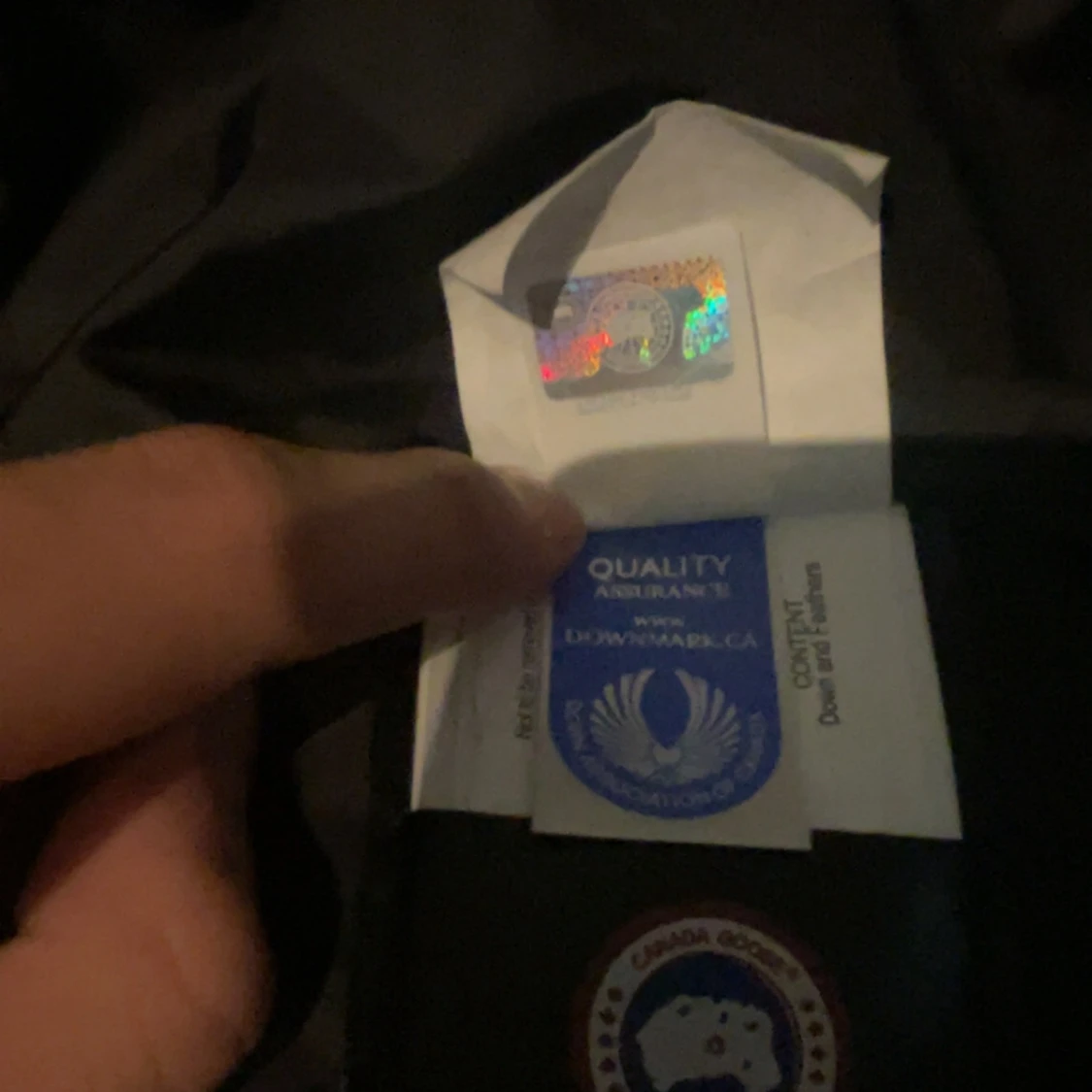 Svart dunjacka från Canada Goose - 4