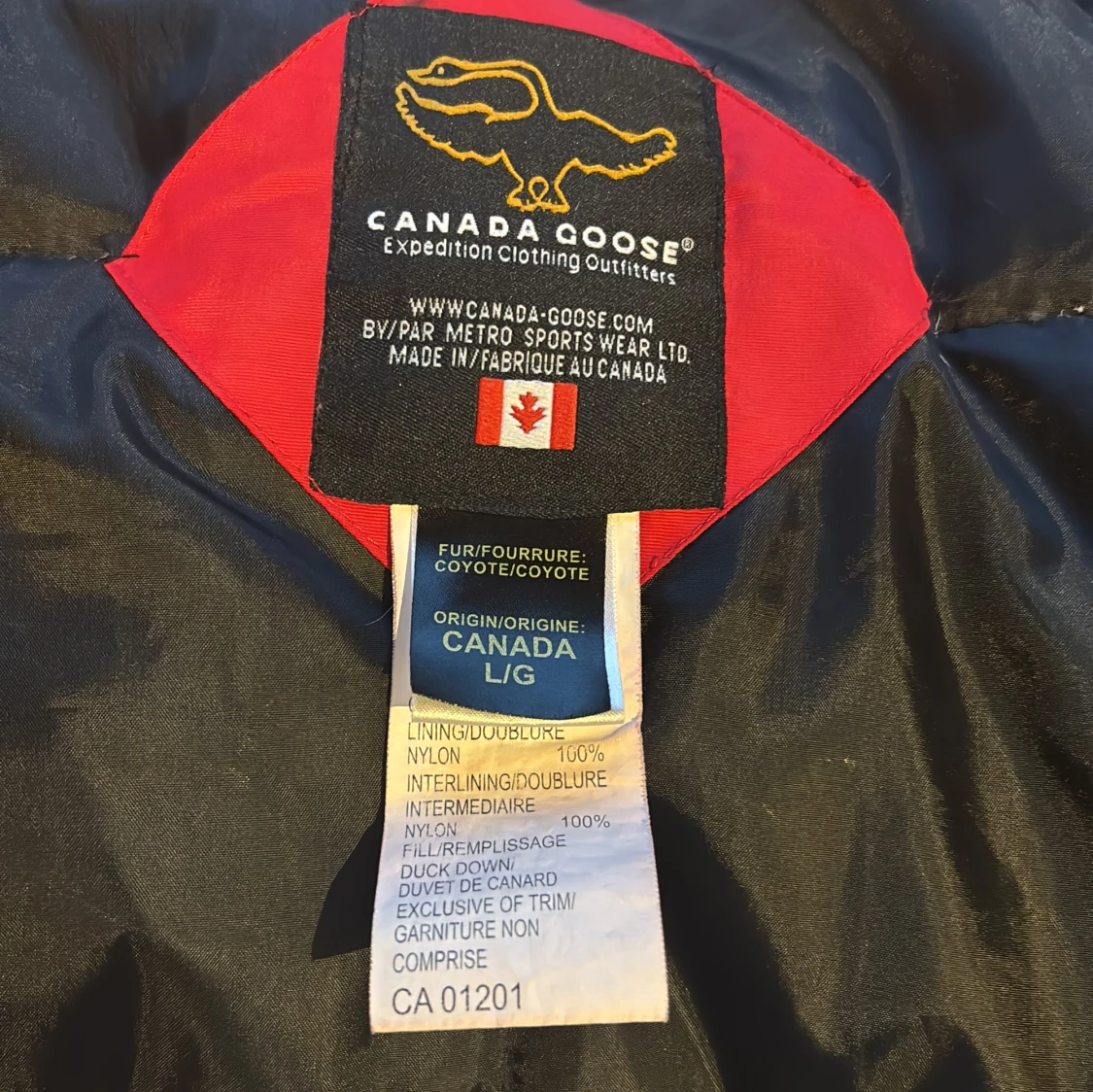  Canada Goose L - 2
