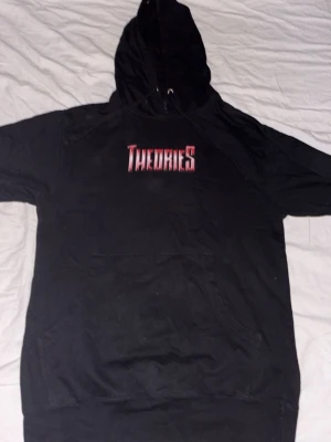 THEDRIES HOODIE  - En stilig tröja med tryck fram och bak i storlek S den passar med många outfits och sitter bra på.