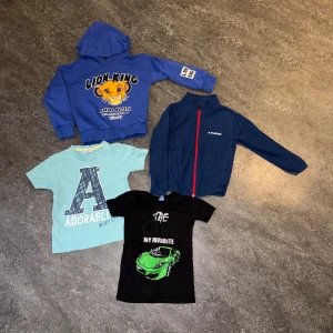 Litet paket med tröjor i 98/104 - Super fina tröjor utan hål och fläckar, de defekter som finns är att simba är lite sprucken och och lappar är av klippta. 