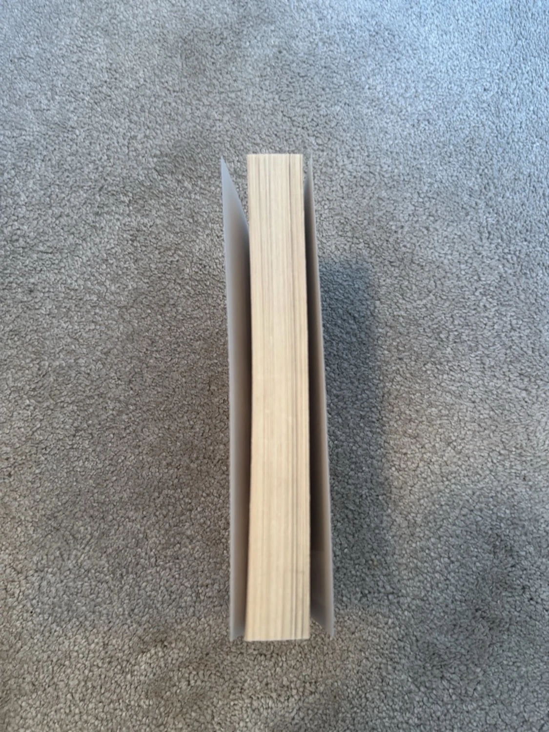 Layla - Colleen Hoover  - 3