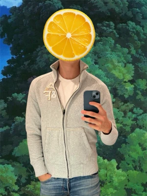 Abercrombie & Fitch Tröja - Grå klassisk Abercrombie & Fitch zip-tröja i storlek M och mycket bra skick. Storleken är M men kan även passa S. Sparsamt använd och i exceptionellt bra skick. Klassisk Abercrombie design, med mjukt tyg på insidan av tröjan.