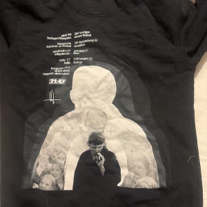 Victor Leksell hoodie - Endast använd 1 gång och tvättad en gång. Köpt på lolla för 800kr. 