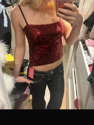 Vinröd paljettopp med öppen rygg - Säljer en vinröd paljettopp från edikted i storlek S. Toppen har tunna axelband, croppad passform och öppen rygg med knytband. Perfekt för dig som vill sticka ut med glittriga detaljer och en snygg siluett.