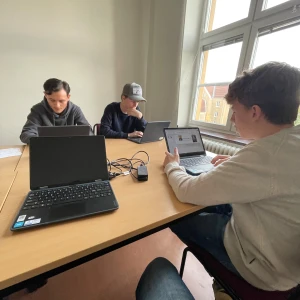 3 apor säljes - 3 brända skorvar. 60:- styck!