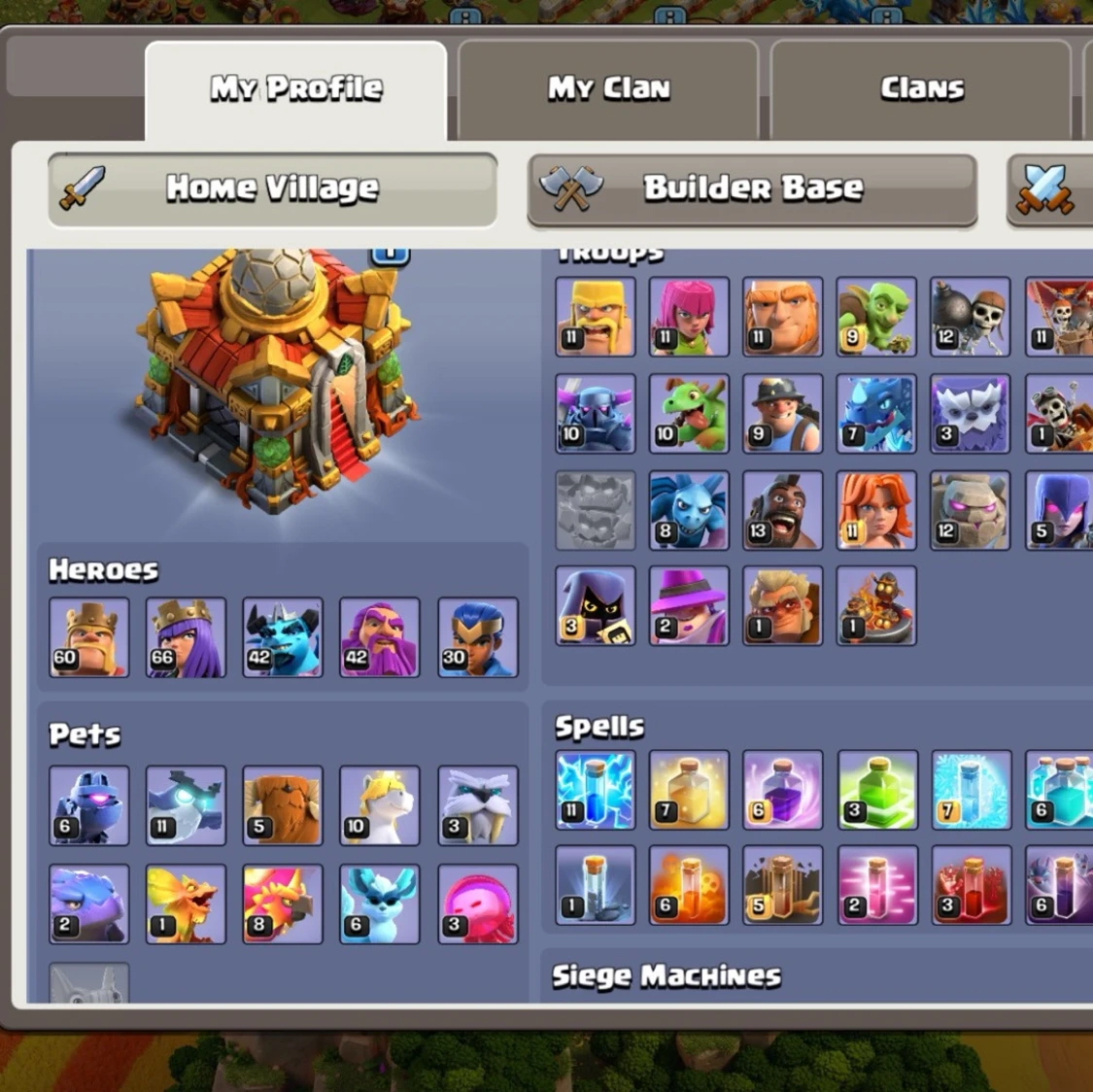 Clash of Clans: Home Village  - 5