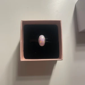 Pandora berlock - Jättefint skick, som ny.