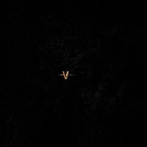 Guldfärgad ring med V-form - Elegant guldfärgad ring med en unik V-formad design. Perfekt för att lägga till en subtil touch av stil till din look. Passar utmärkt för både vardag och speciella tillfällen. Justerbar.