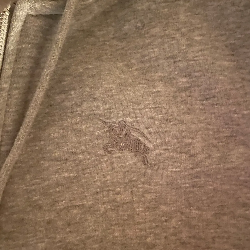 Säljer en snygg grå hoodie från Burberry med klassiskt rutigt mönster i luvan. Den har dragkedja framtill och är i mycket bra skick. Perfekt för höst och vår! Skriv för frågor!. Tröjor & Koftor.