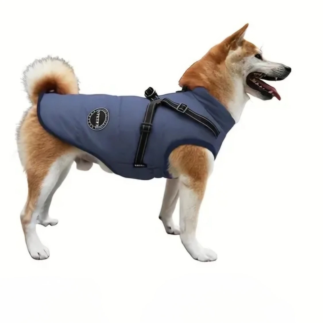 Hundjacka, hundkappa