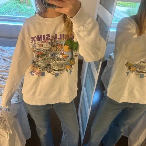 Sweatshirt  - Sweatshirt 
