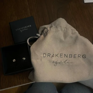 Örhängen silver - Örhängen i silver från Drakenberg sjölin. Helt nya och aldrig använda, orginalförpackning🌟ord pris 790 men säljer för 500!🍁