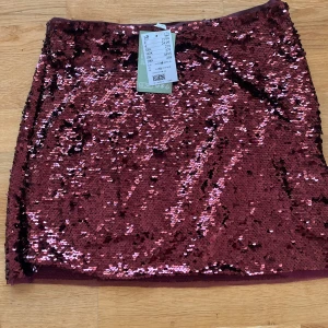 Glitterkjol oanvänd - Oanvänd glitterkjol för fest som vardag, perfekt till höst och vinter. Lapparna kvar!  Nypris 279, säljer för 180kr