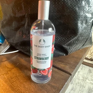 Bodymist  - Bodymist från Body shop. 100ml, testat vid något tillfälle. Se flaska för mängden. 