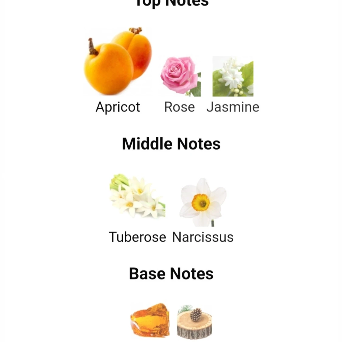 Kismet for Women från Maison Alhambra - 92