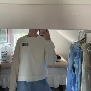 Sweatshirt  - Sweatshirt från levis i storlek S 