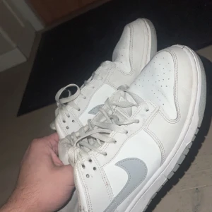 Nike dunks  - Använda fåtal gånger Inge slitage eller liknande storlek 42