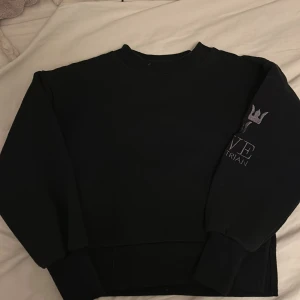 Svart sweatshirt från SWE Equestrian - Säljer en svart sweatshirt från SWE Equestrian med deras ikoniska logga på ärmen. Tröjan är perfekt för kyliga dagar och har en bekväm passform. Den är i bra skick och redo för nya äventyr. Perfekt för dig som älskar hästar och stil! 🖤