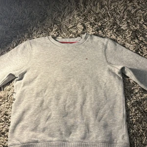 Grå tröja från Tommy Hilfiger - Säljer en stilren grå tröja från Tommy Hilfiger i storlek 164. Tröjan har en klassisk design med rund halsringning och det ikoniska lilla logotypmärket på bröstet. Perfekt för både vardag och skola. Superbekväm och lätt att matcha med allt! 🌟