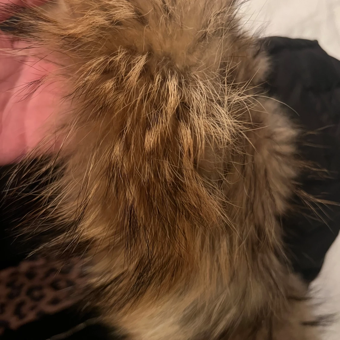 Svart dunjacka med pälsdetaljer - 91