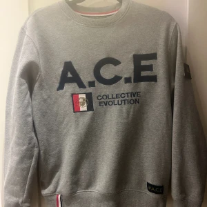 Grå sweatshirt från A.C.E - Snygg grå sweatshirt från A.C.E med tryck 'COLLECTIVE EVOLUTION' på framsidan. Tröjan har rund hals och långa ärmar, perfekt för en casual look. Detaljerad med märkeslogga på ärmen och nederkanten.