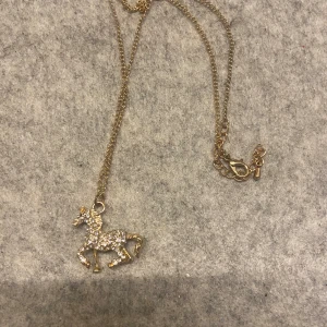 Guld halsband  - Ett guld halsband med en höst på. Jätte fint skick. Säljer pågrund av inte min stil längre. 