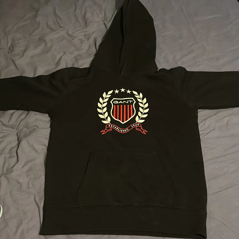 Säljer en näst intill oanvänd gång hoodie i väldigt bra skick. Hör av er vid intresse:) . Hoodies.