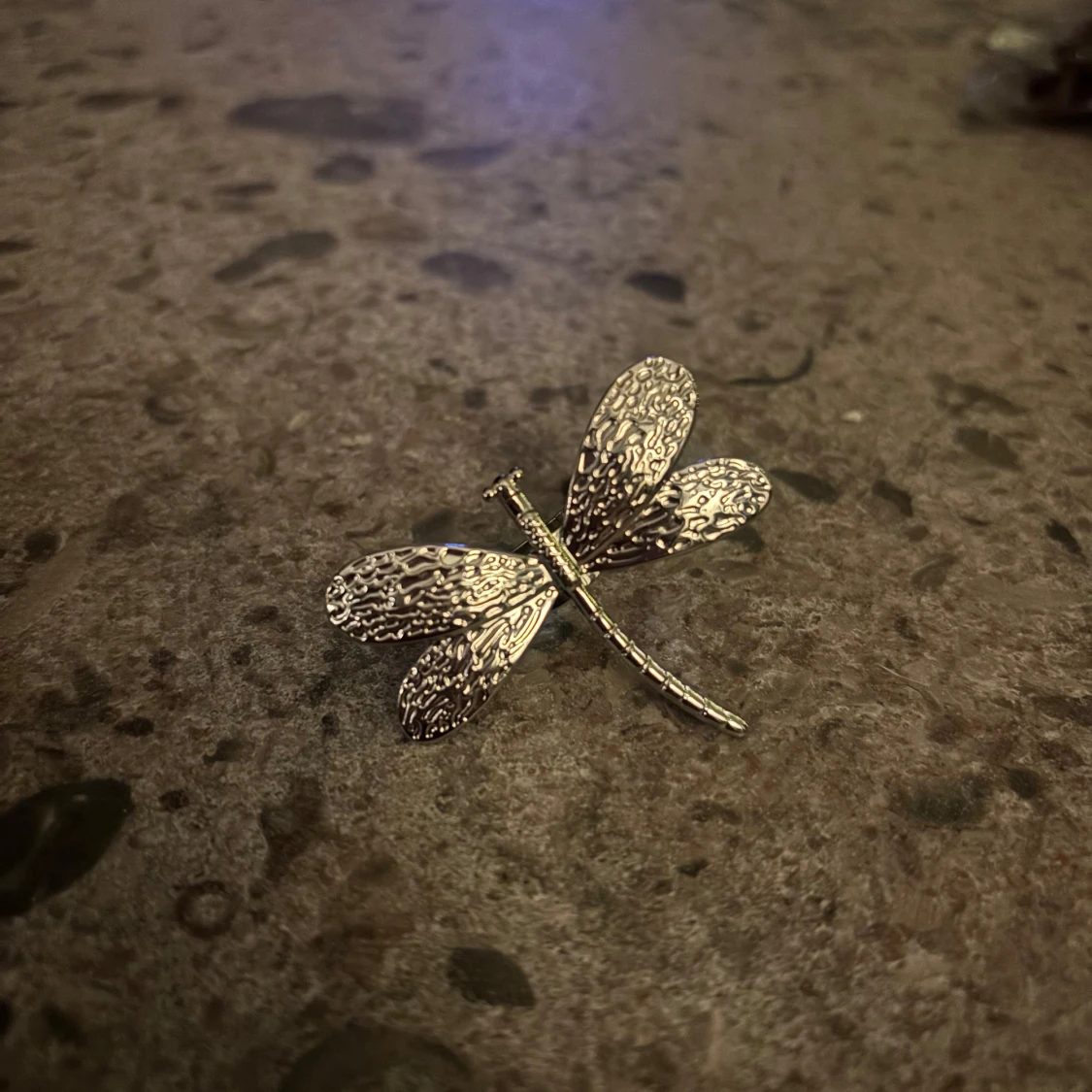 Silverfärgad trollsländering