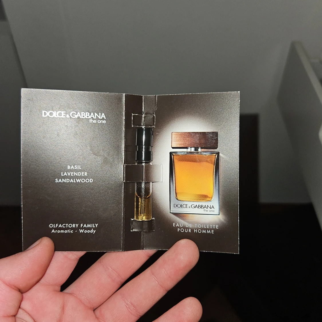 Dolce & Gabbana The One Pour Homme Eau de Toilette