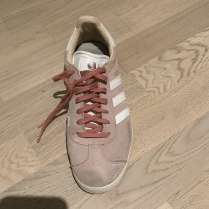 Adidas Gazelle skor - använda ganska många gånger