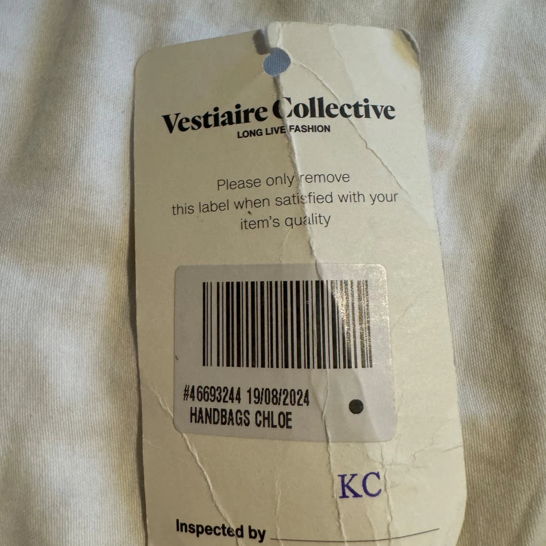 Chloé Paddington  - 4