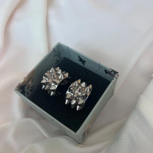 Silvriga örhängen ifrån Edblad - Silvriga örhängen ifrån Edblad med nitar, inte kommit till nån användning.