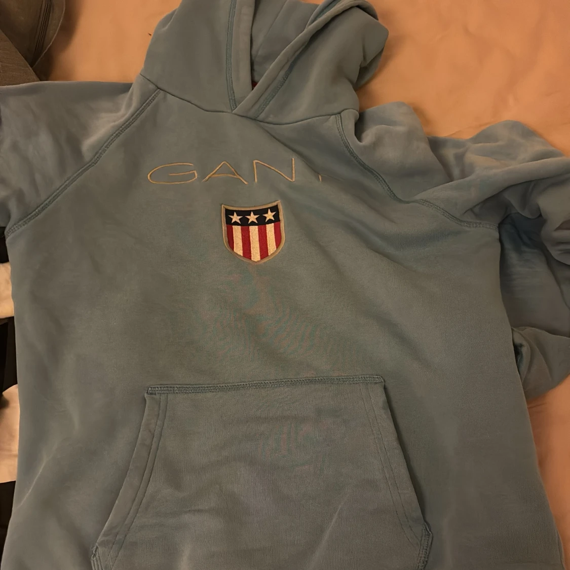 Blå hoodie från Gant