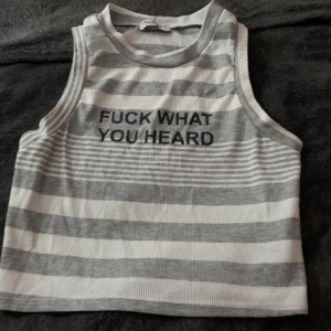 Randig ribbad linnetopp från Fashion Nova - Säljer en grå och vit randig ribbad linnetopp från Fashion Nova med texten 'FUCK WHAT YOU HEARD' på framsidan. Perfekt för en avslappnad stil.