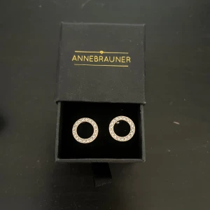 Örhängen guld - Oanvända örhängen från annebrauner som bara ligger och dammar hos mig tyvärr.