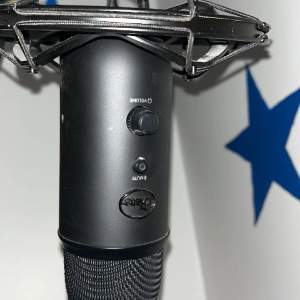 Säljer min blue Yeti mic staivet ingår