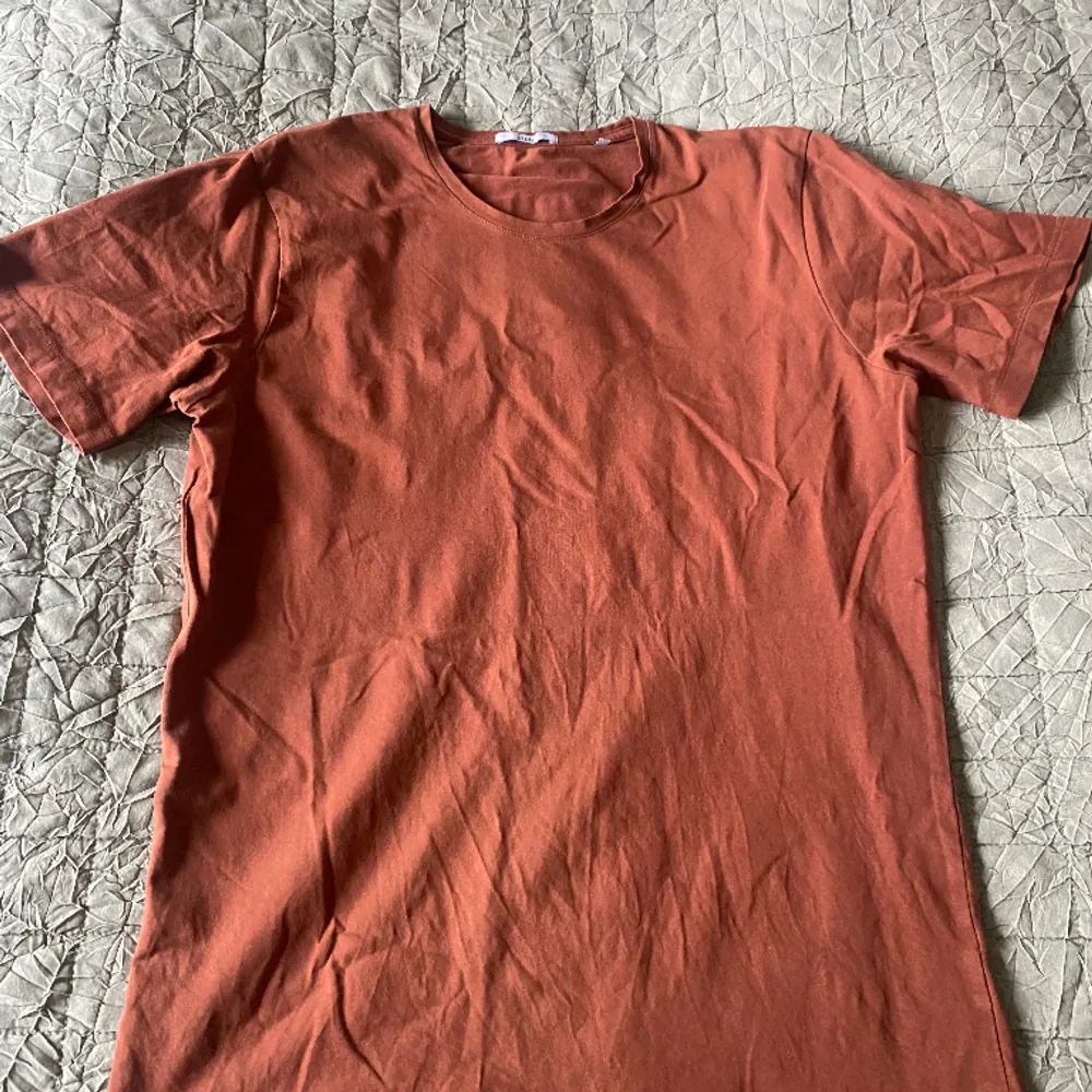 Brun orange färgad T-shirts i stl M. Fin i skick och inga skador på den. Säljer för 50kr . T-shirts.