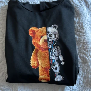 Teddy hoodie  - Den har använts en gång bara  152 storlek