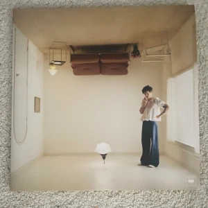 Vinylskiva  - Säljer Harry styles vinylskriva. Har använt att få tal gånger och sen funkar utmärkt💘  Album: harryshouse 